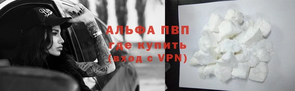 гашик Беломорск