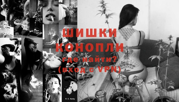 ECSTASY Белокуриха