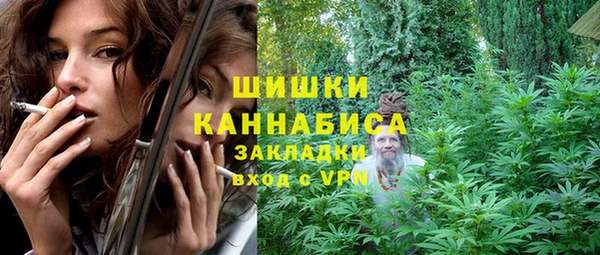 ECSTASY Белокуриха
